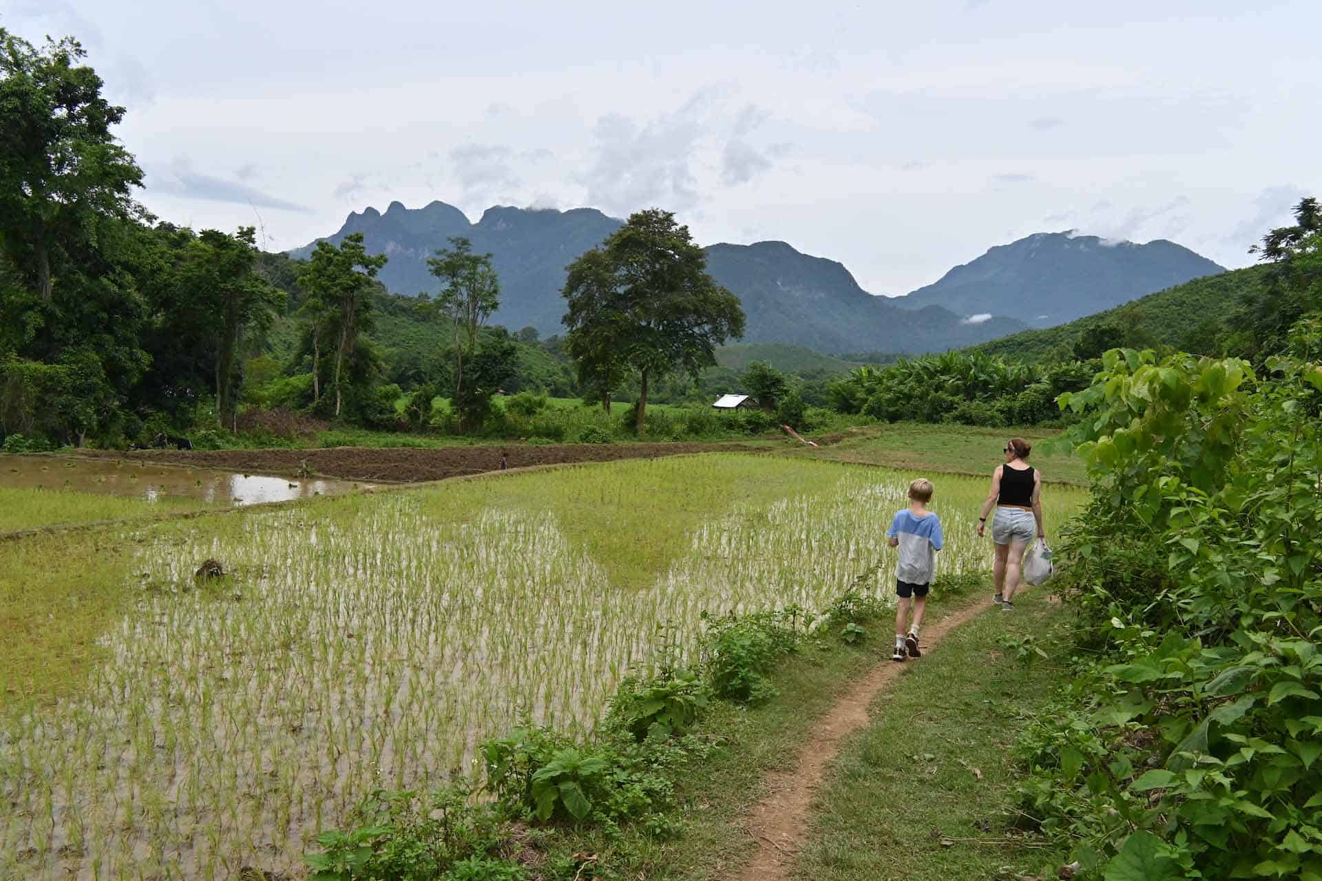 Nong Khiaw Laos met kinderen tour rijstvelden