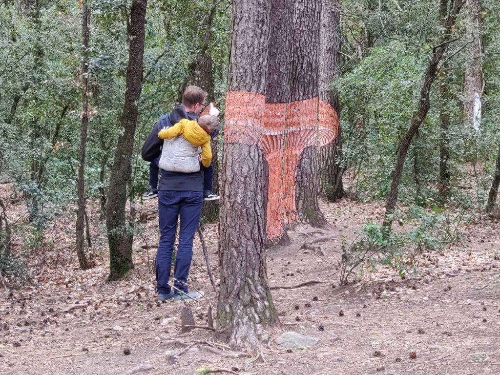 Wandelen in het Prades gebergte