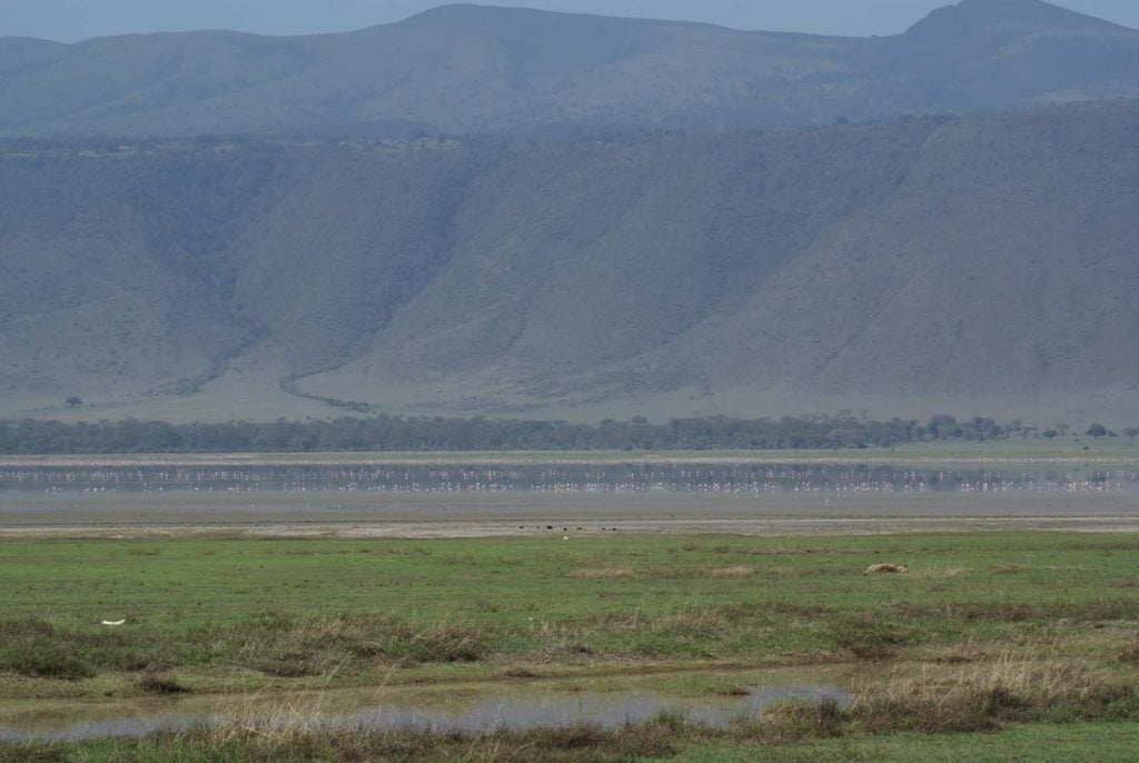 tanzania naiotnaal park