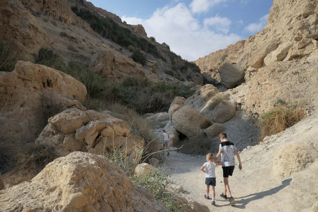 ein gedi nature reserve