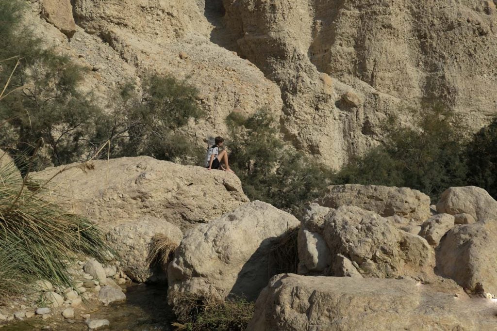 ein gedi nature reserve