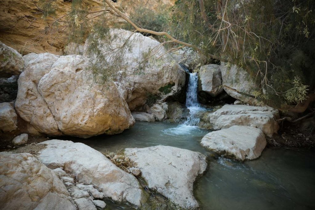 ein gedi nature reserve