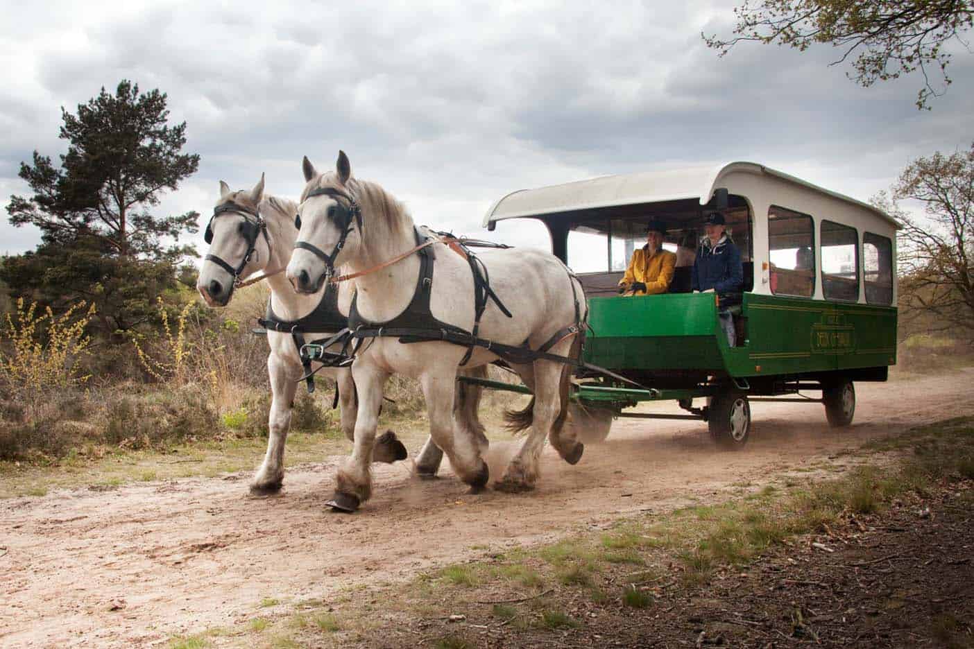 Landal land van bartje