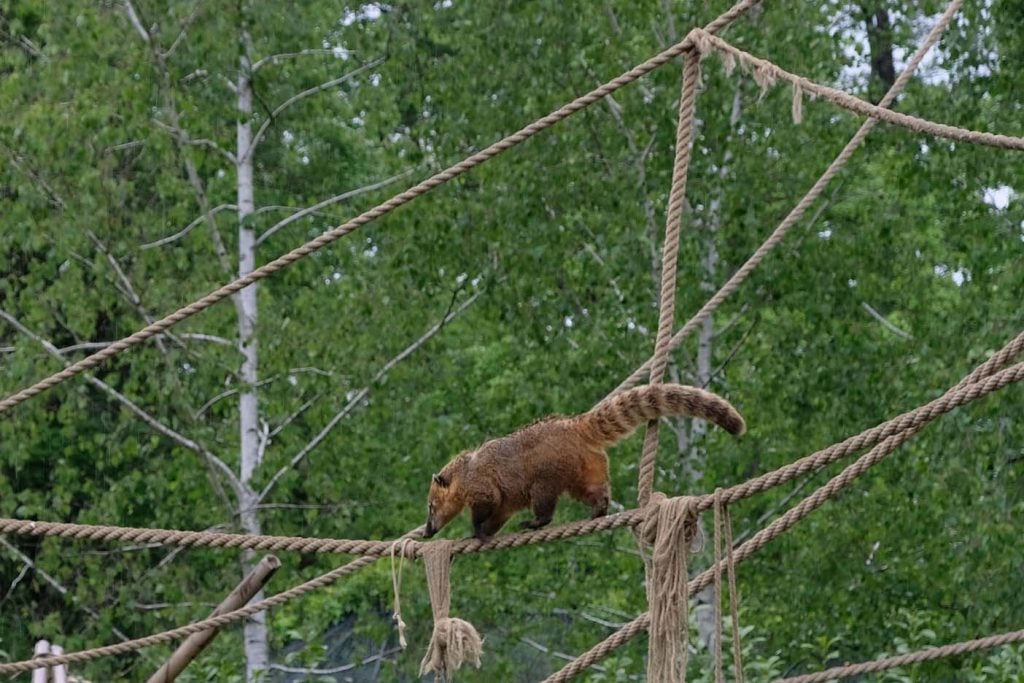 Dierentuin van Zagreb