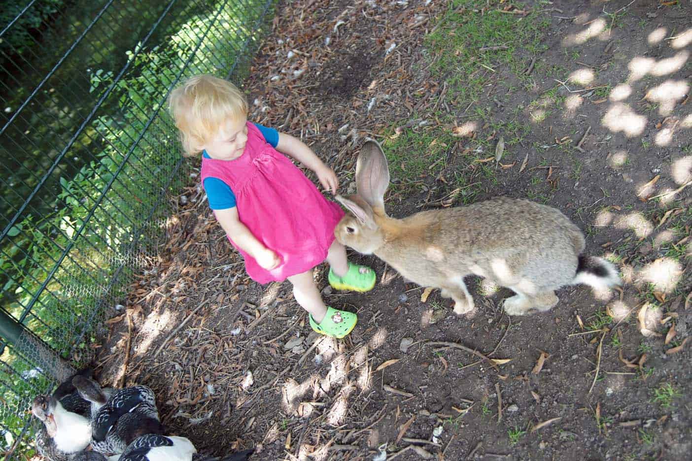 Zuid-limburg met kinderen kasteelpark bonn