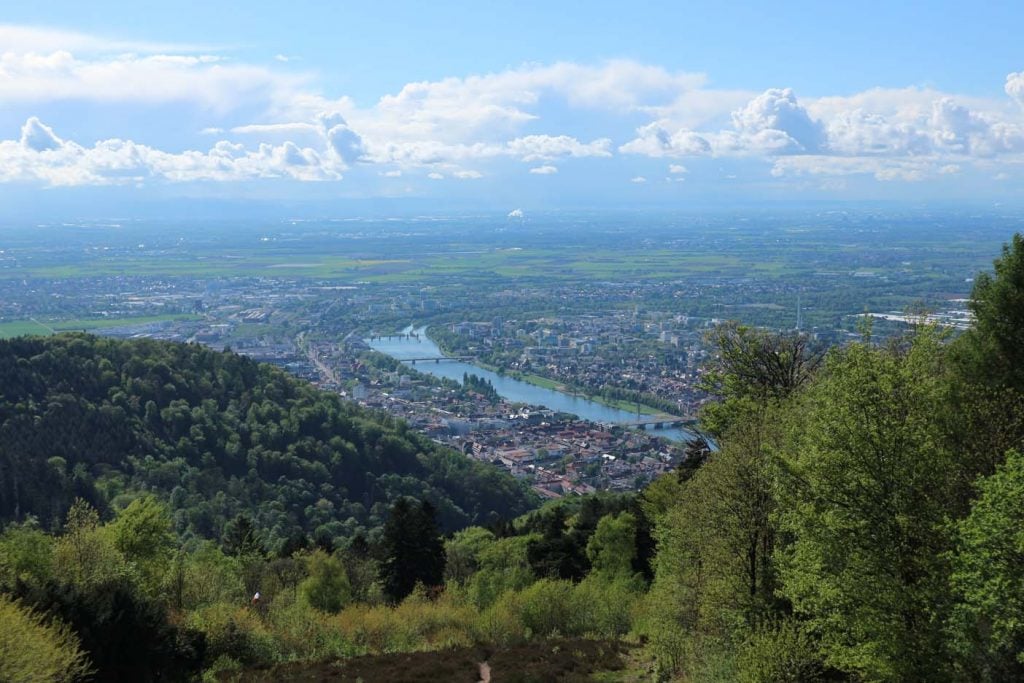 Boswandelingen op de Königstuhl