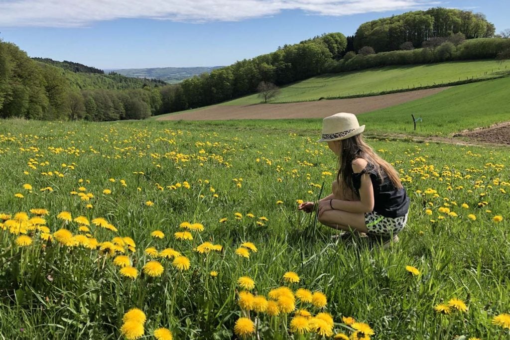 Odenwald met kinderen