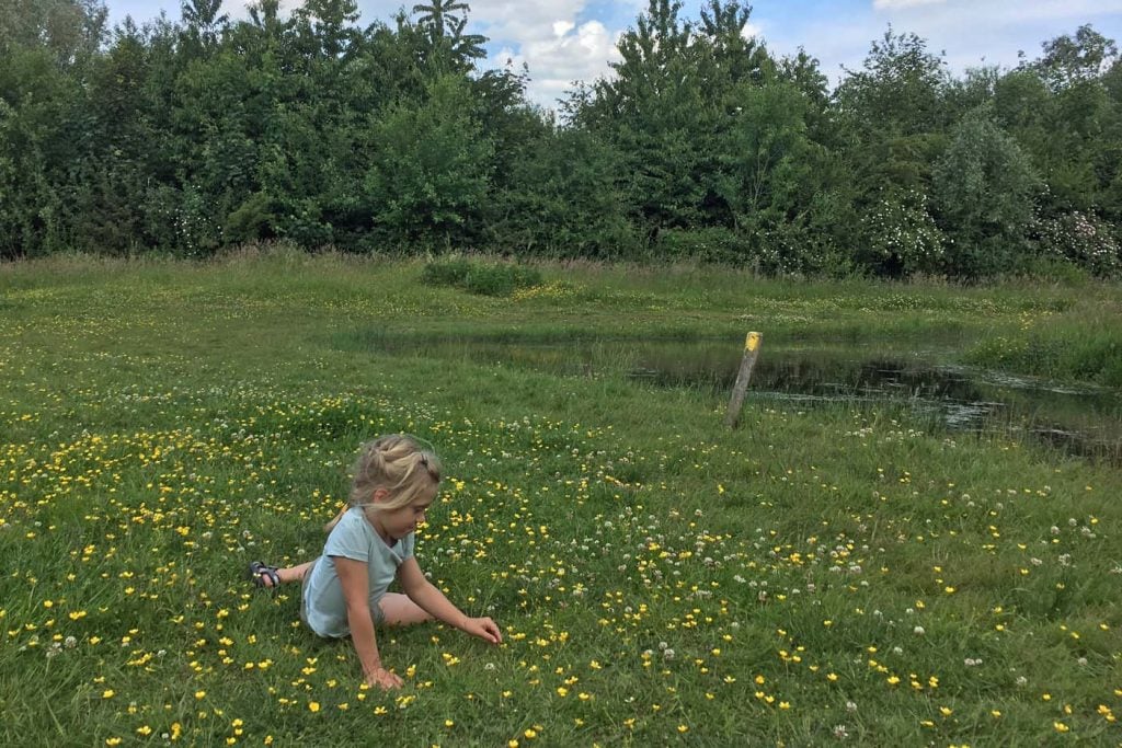 Belevenisbos Lelystad,