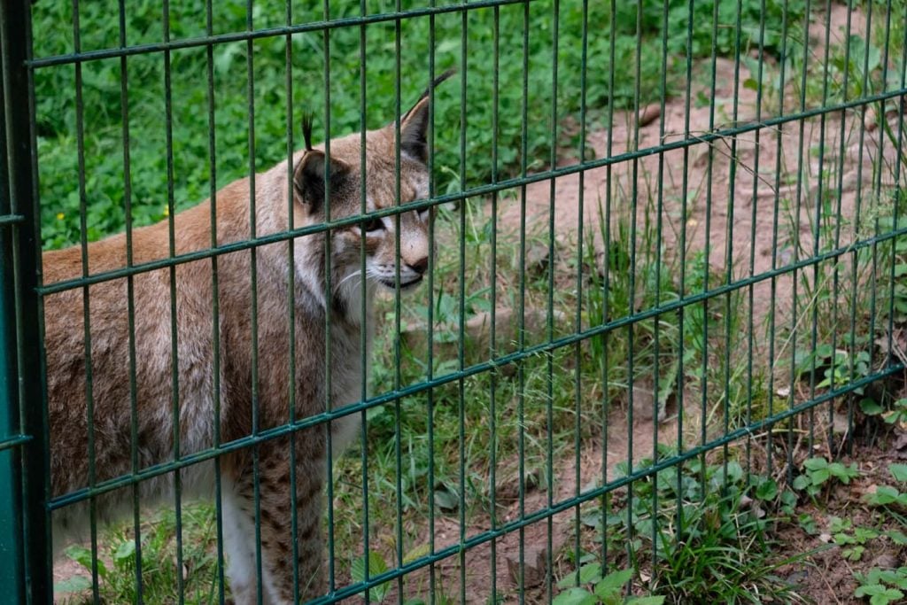 Eifelpark Gondorf