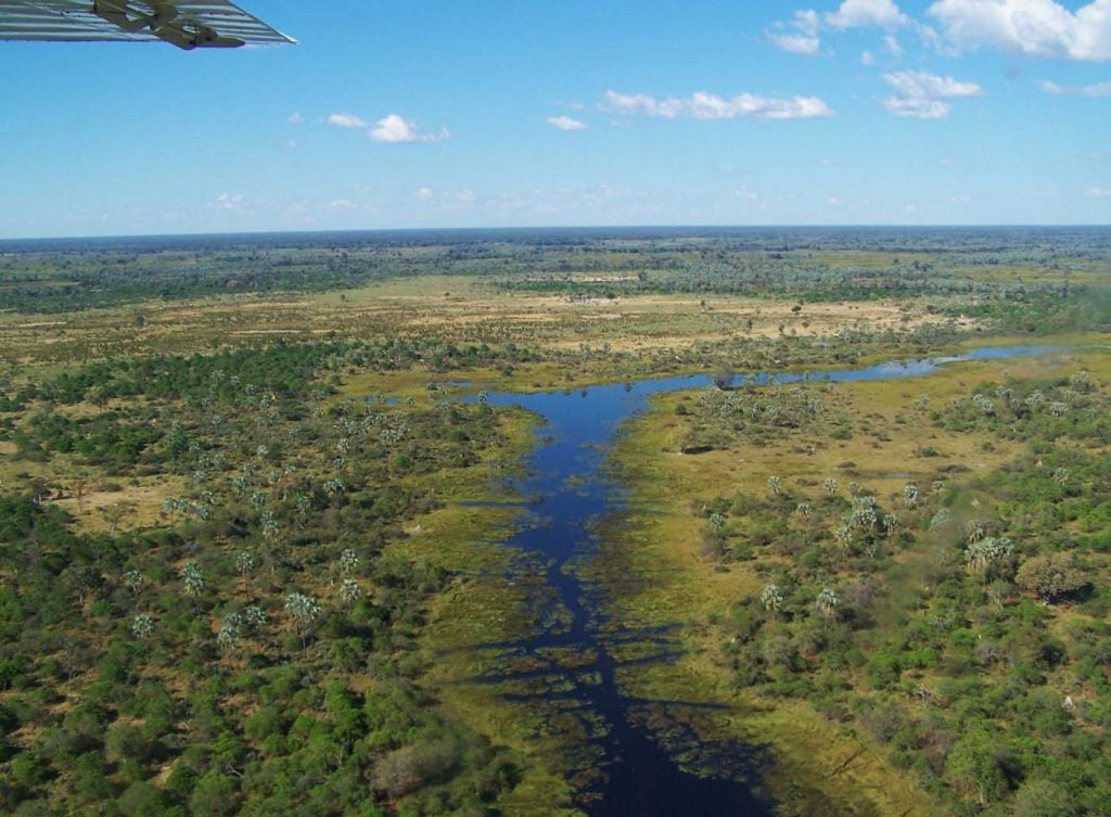 Okavangodelta vlucht