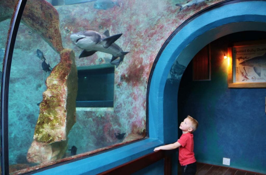 Swakopund aquarium