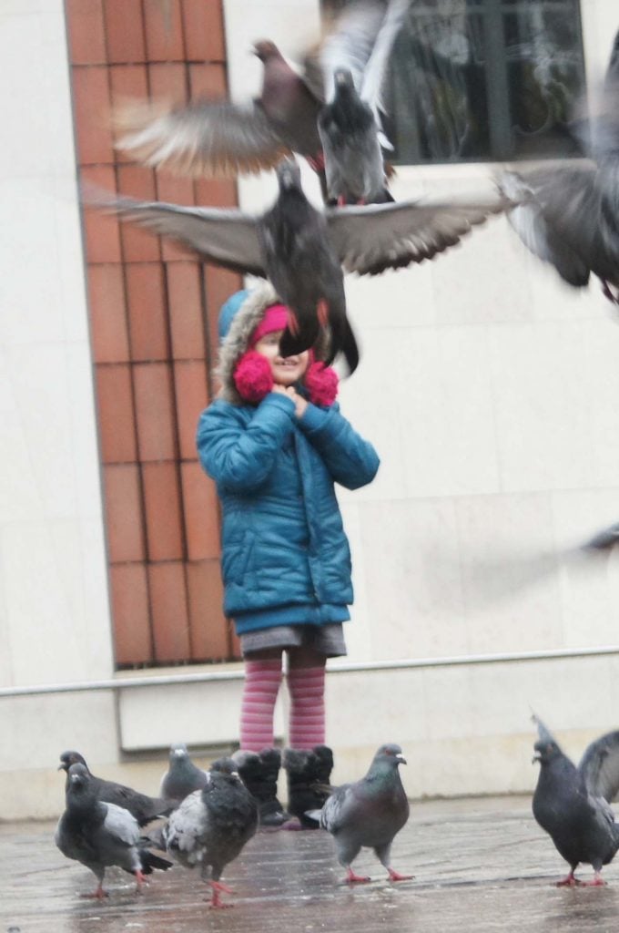 Krakow met kinderen