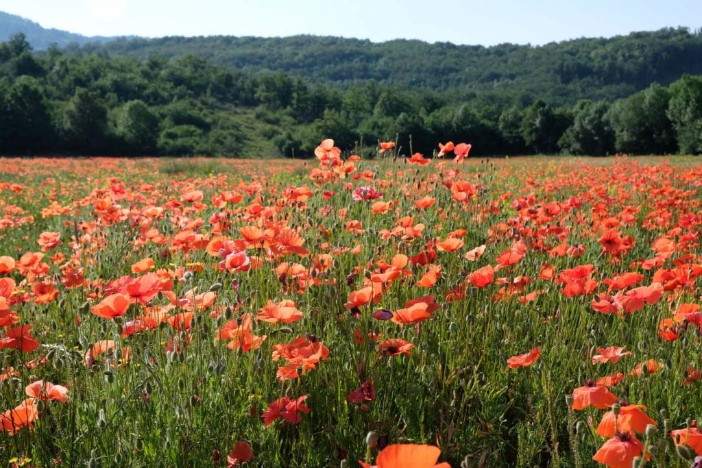 Vercors natuur