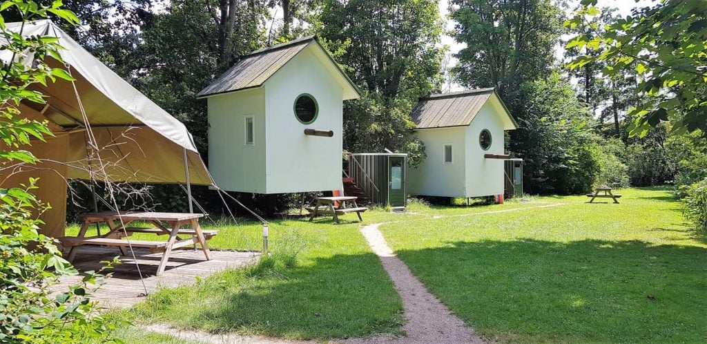 Vreemde vogel overnachten