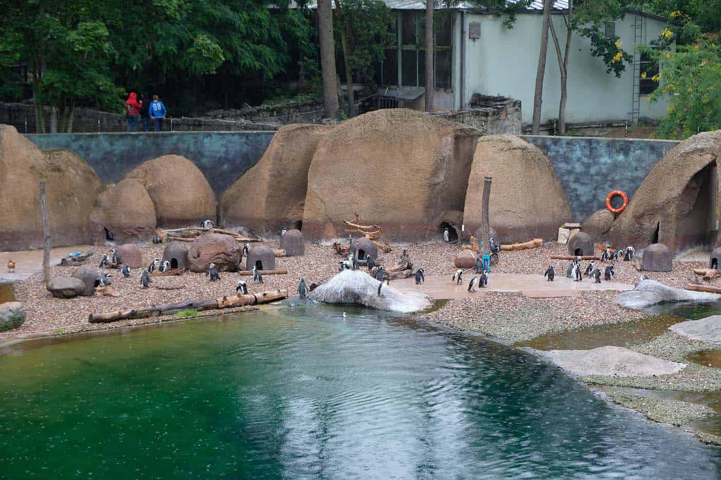 Wroclaw met kinderen dierentuin