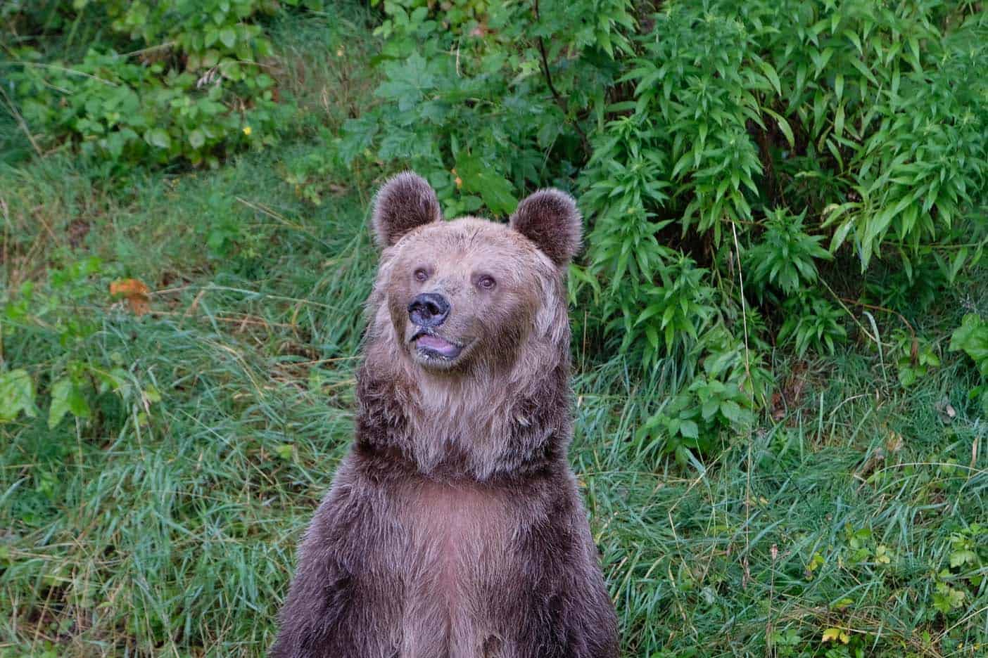 Wroclaw met kinderen dierentuin