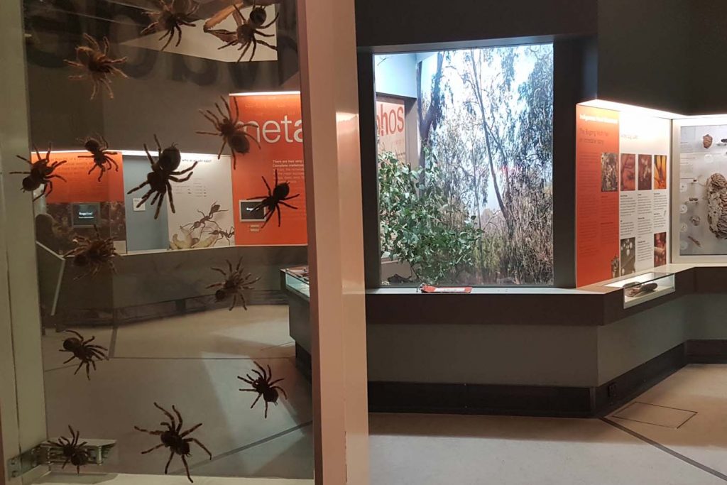 Melbourne met kinderen museum