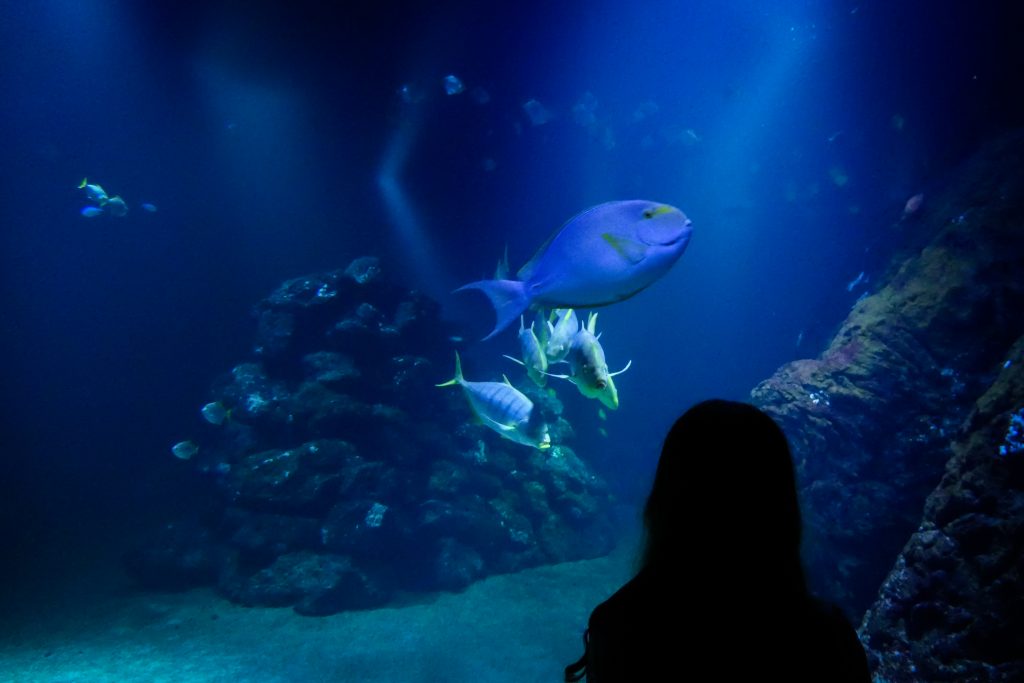 Universeum gotenburg