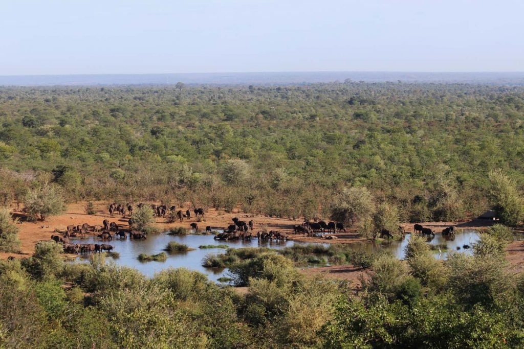 Victoria Falls Safari Lodge