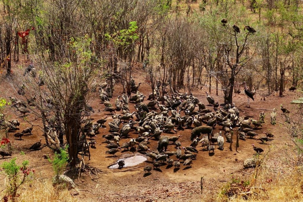 Victoria Falls Safari Lodge