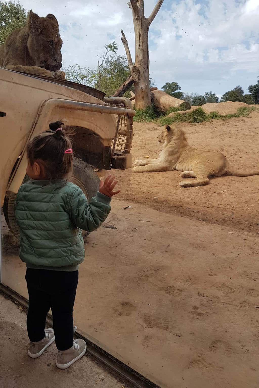 Melbourne met kinderen dierentuin