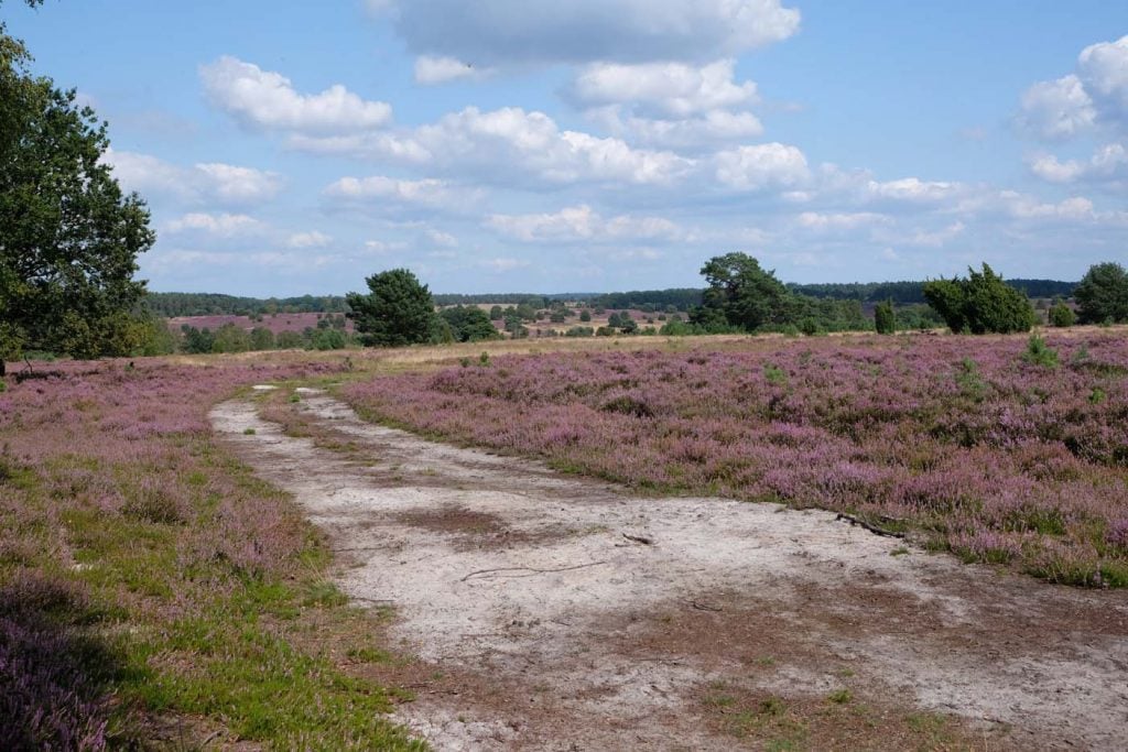 Luneberger heide