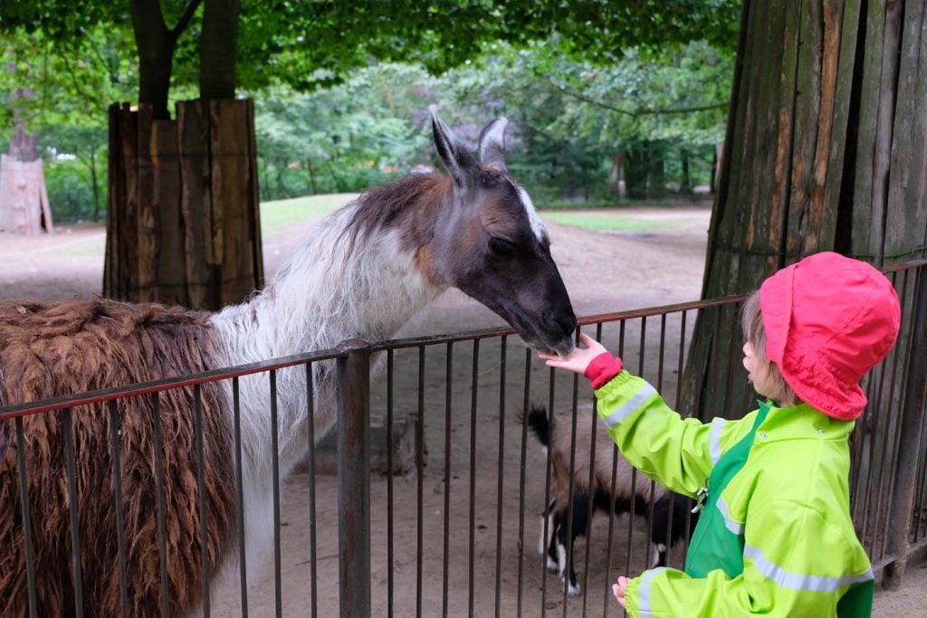 Rostock dierentuin