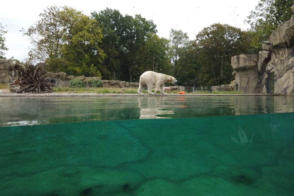 Rostock zoo