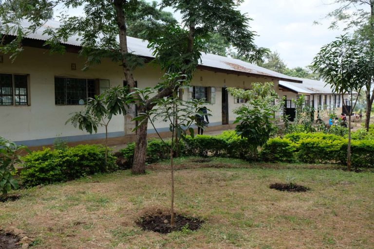 Reisverslag Tanzania deel 2 Tengeru, Usambara mountains en Dar es