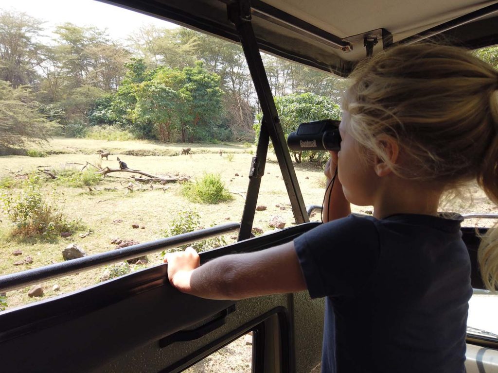 Tanzania Safari