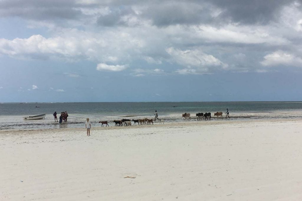 Tanzania Zanzibar