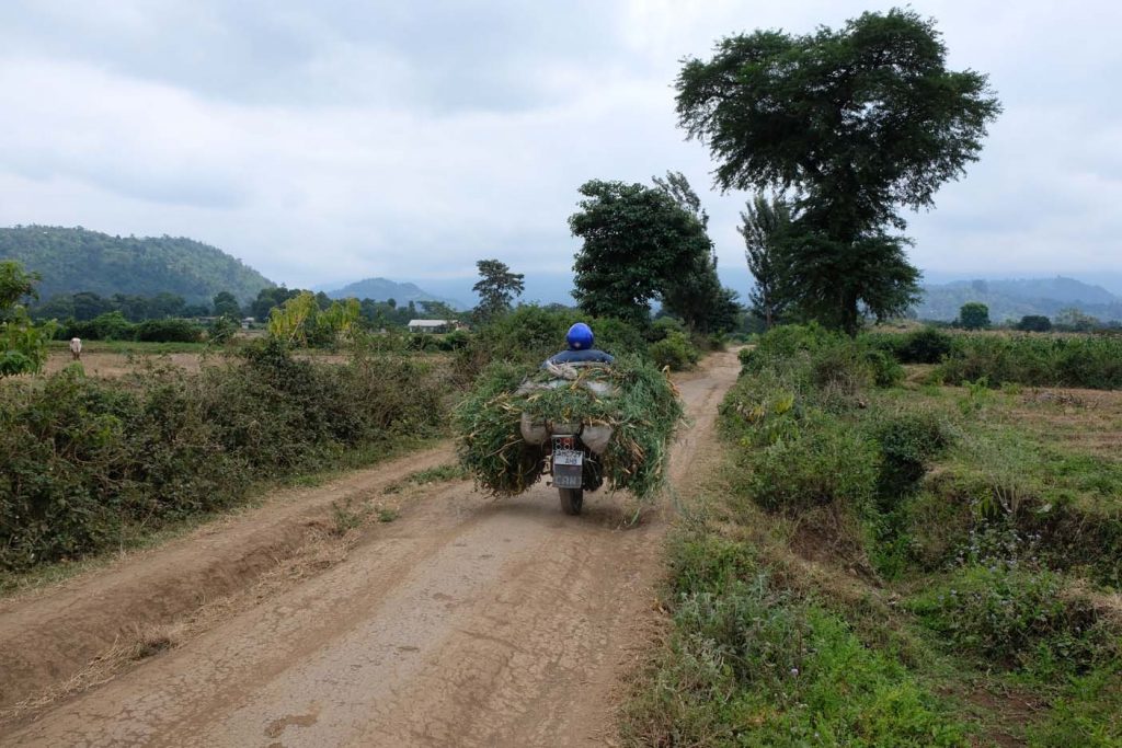 Tengeru cultural tourism programme