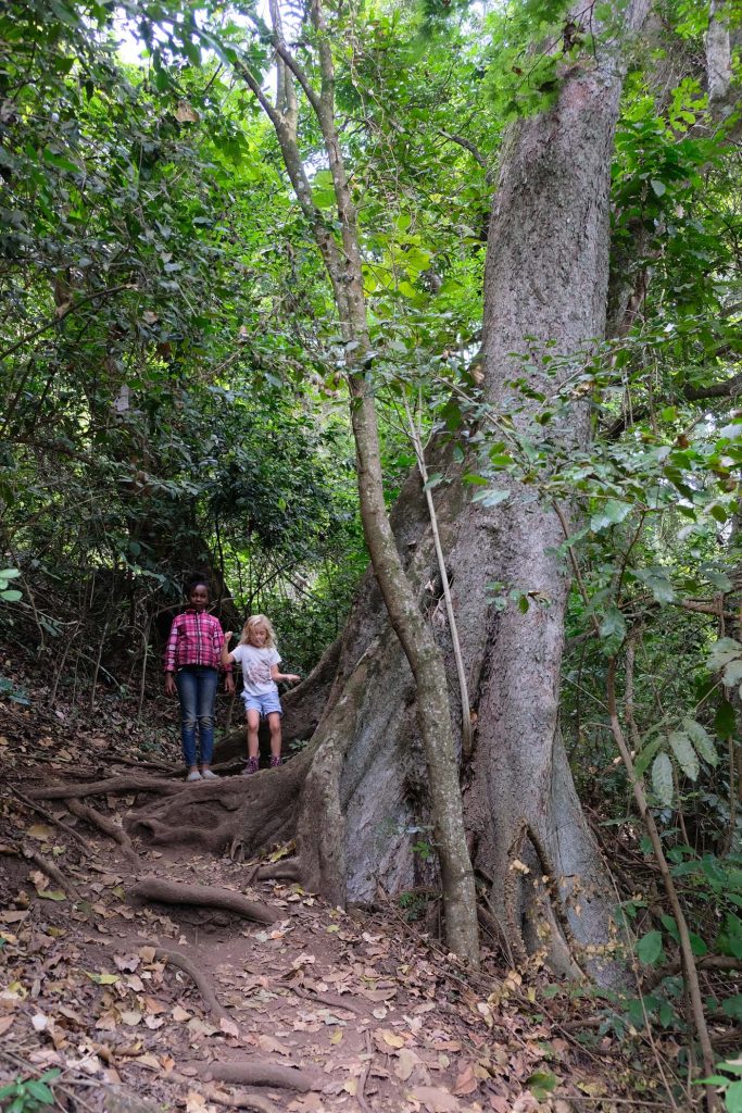 Tengeru cultural tourism programme