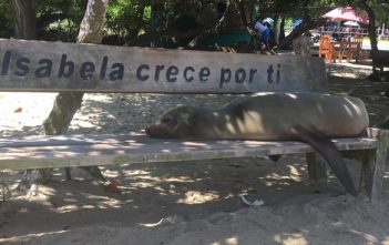 Interview: Quito en Galapagos met kind