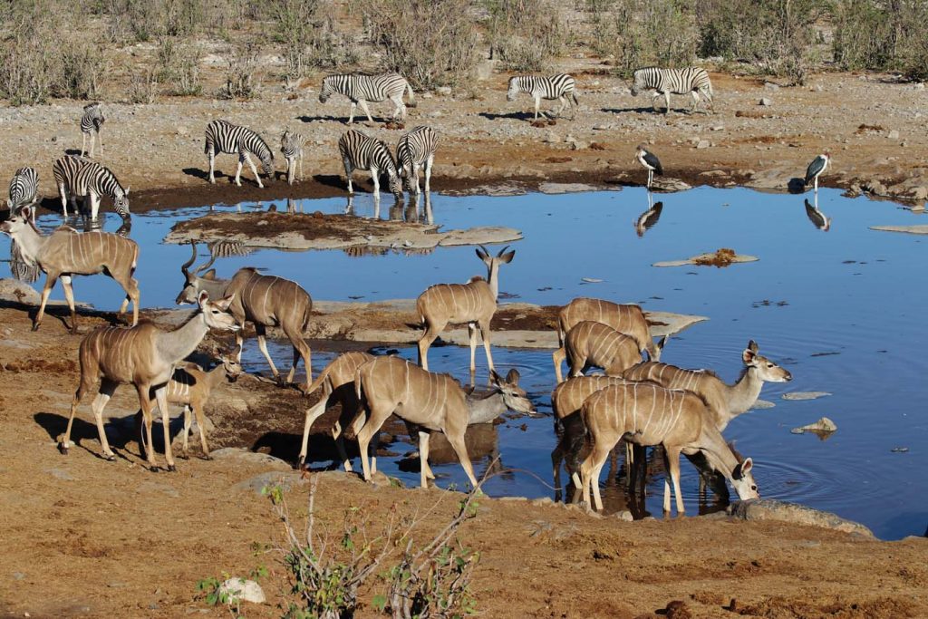 Kamperen in Afrika