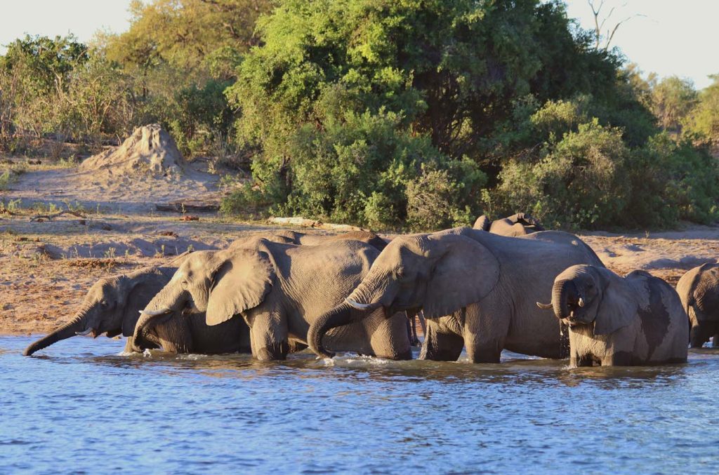 Kamperen in Afrika