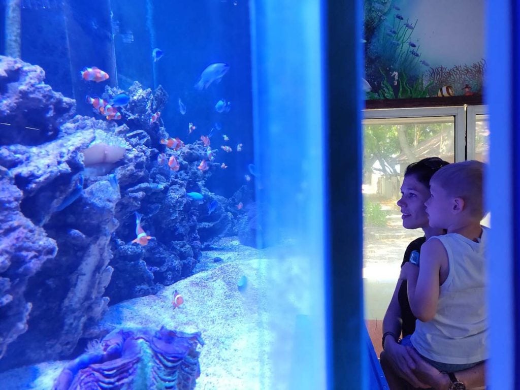 Manukan island aquarium