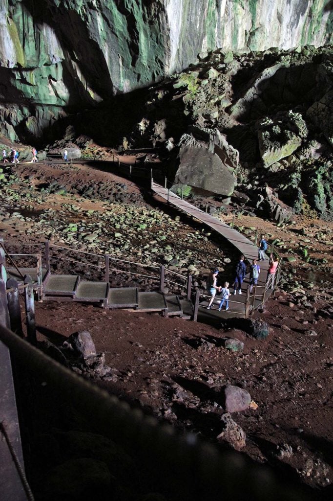 deer- en Langcave mulu nationaal park