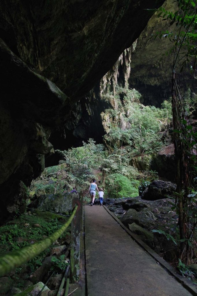 deer- en Langcave mulu nationaal park