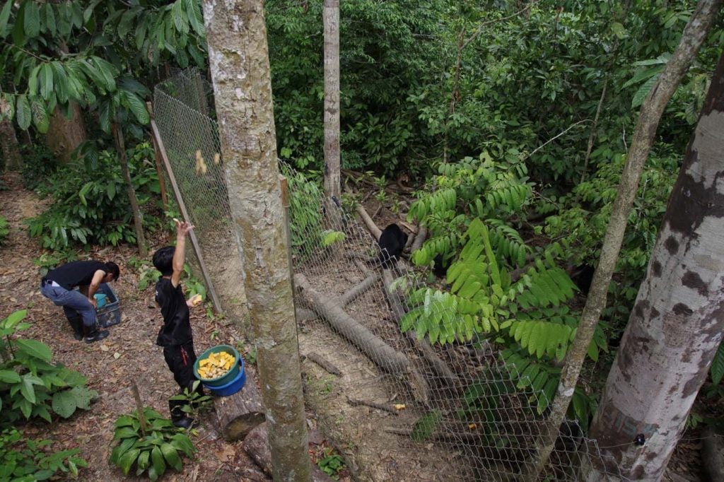 Sunbear Conservation Centre