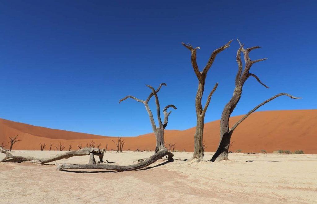 Sossusvlei  deadvlei