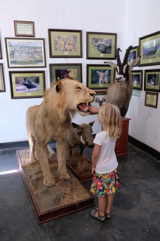 Boma Museum Natural History