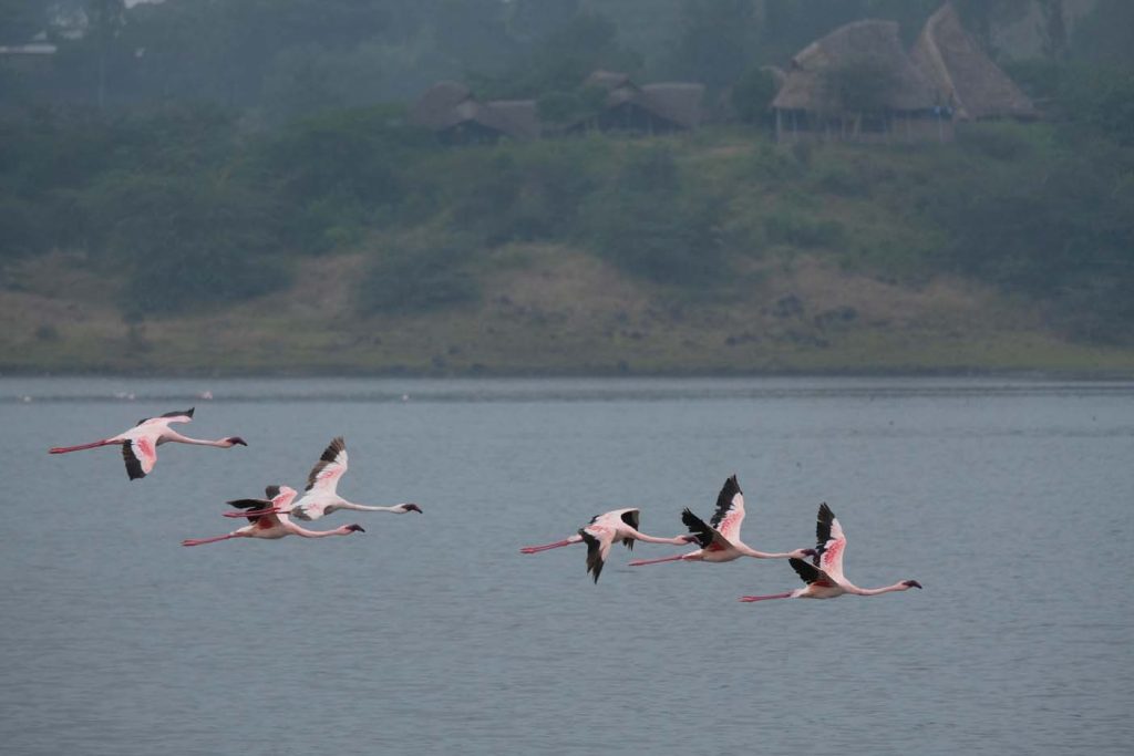 Arusha National Park