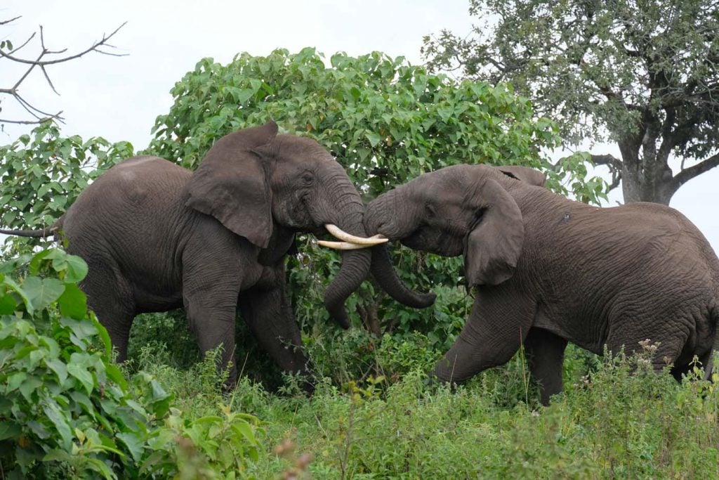 Arusha National Park