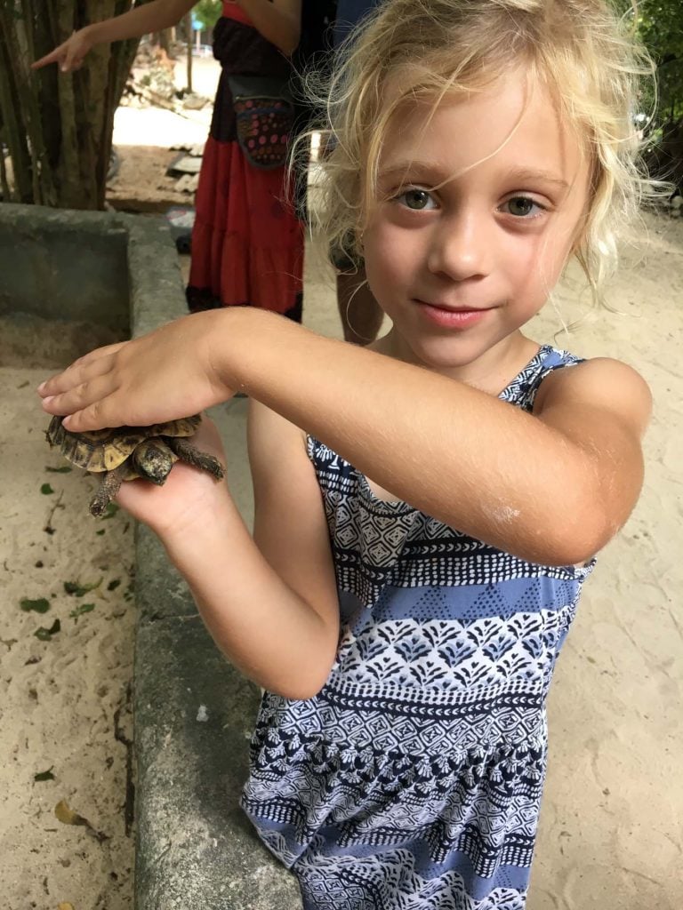 Nungwi schildpadden