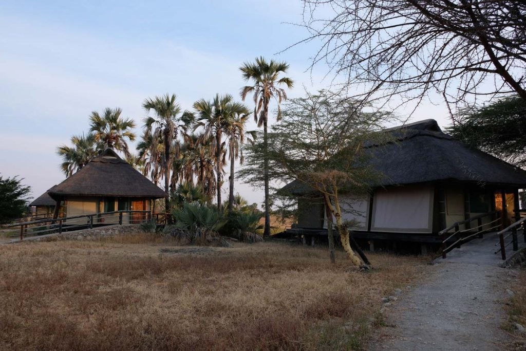 safari tanzania lodge