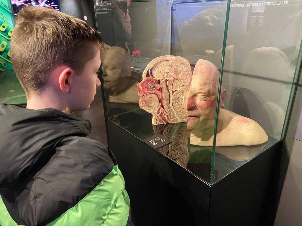 Body worlds