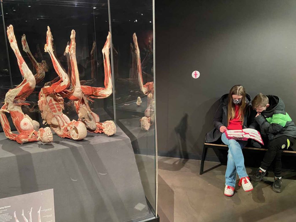 Body worlds