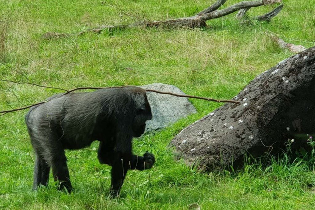 Givdskud Zoo