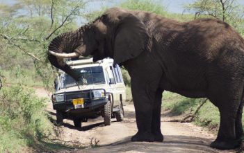 Rondreis Tanzania & Zanzibar, route, tips en kosten